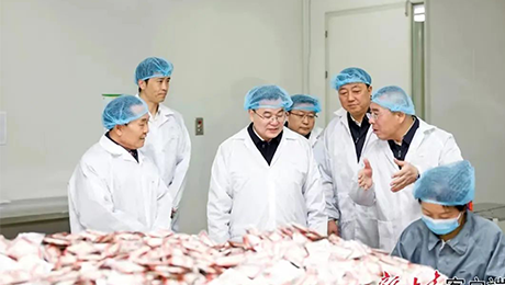 甘肃省委书记胡昌升莅临英国威廉希尔公司官网健康集团佛仁制药考察调研