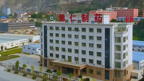 甘肃省副省长葛建团莅临英国威廉希尔公司官网（002219）旗下佛仁制药考察调研